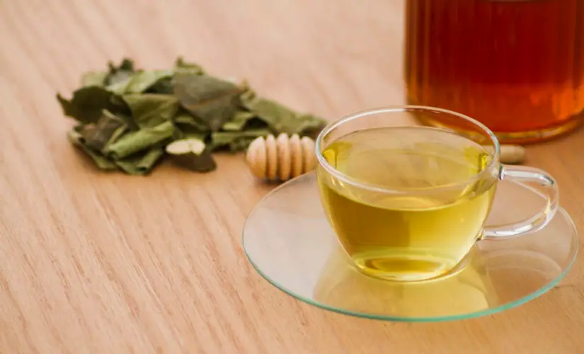 Chá de Louro Aromático e Funcional Igual ao que a Vó Preparava para Aliviar a Digestão