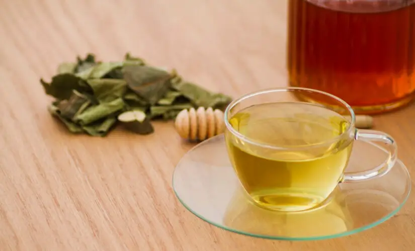 Chá de Louro Aromático e Funcional Igual ao que a Vó Preparava para Aliviar a Digestão