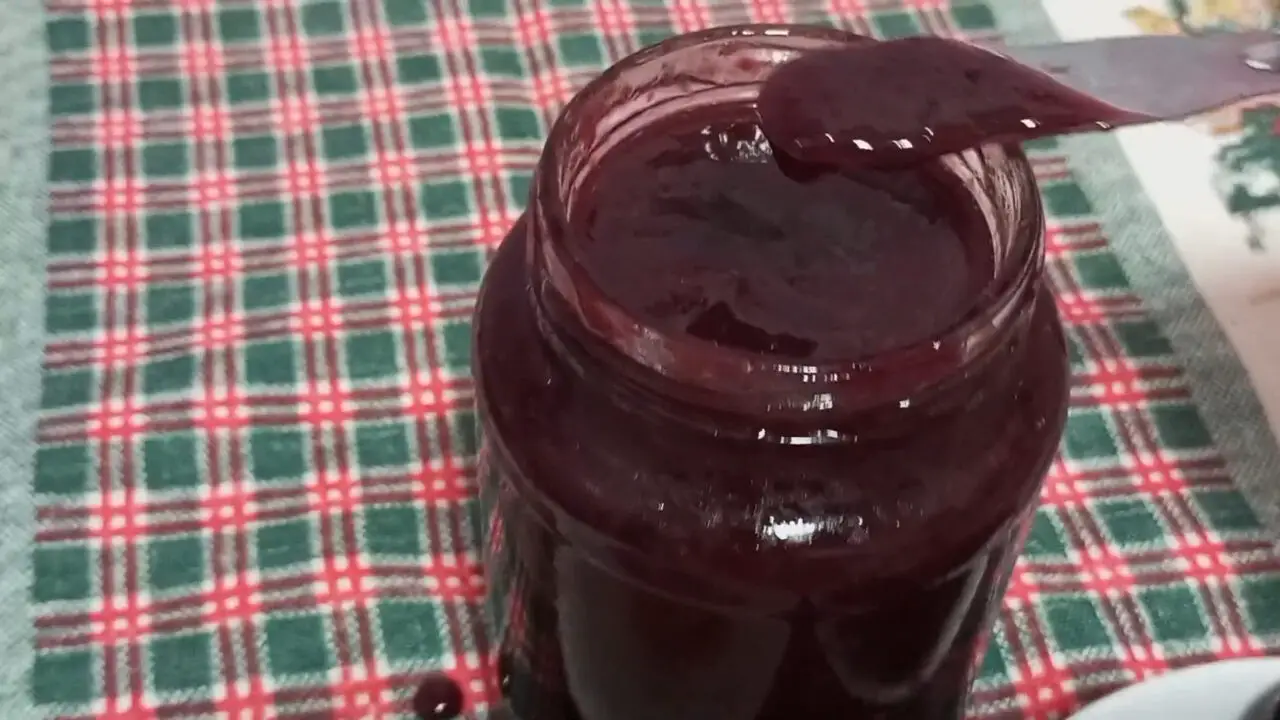Receita de Geleia de Jabuticaba para Relembrar Sabor de Infância no Interior