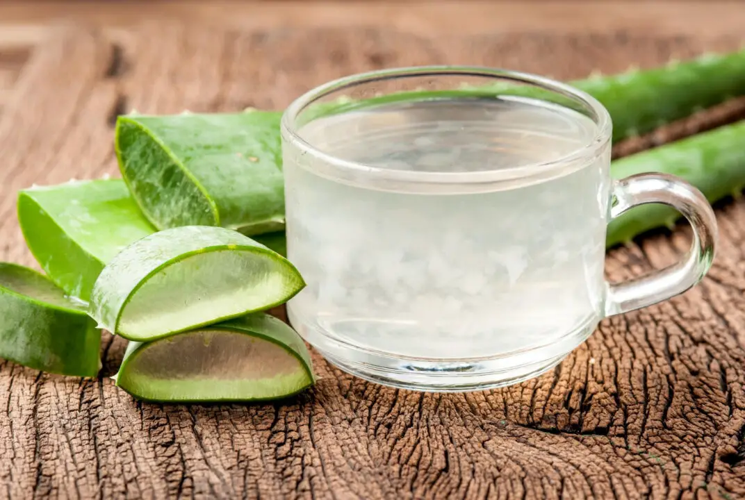 Suco de babosa é aquele cuidado natural que lembra os remédios caseiros da vovó