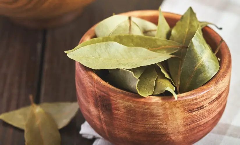 Como colocar folhas de louro na máquina de lavar roupa e deixá-las com um cheiro agradável.