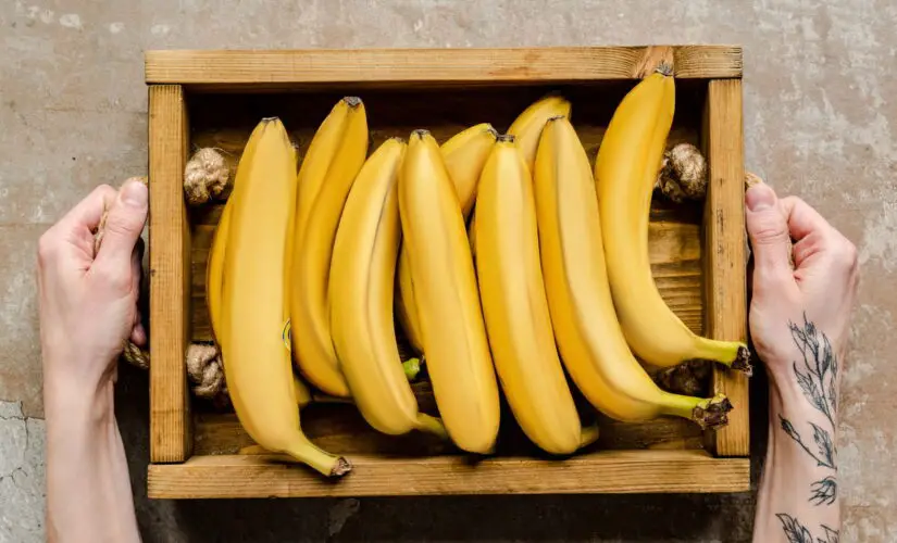 Plantar Banana - Créditos: depositphotos.com / VadimVasenin