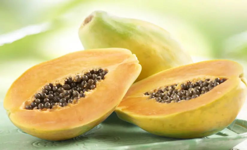 Dicas Essenciais para Plantar Mamão em Casa e Ter Frutas Sempre