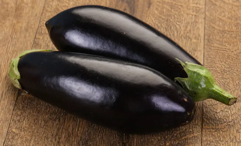 Dicas Infalíveis para Plantar Berinjela e Ter uma Horta Produtiva