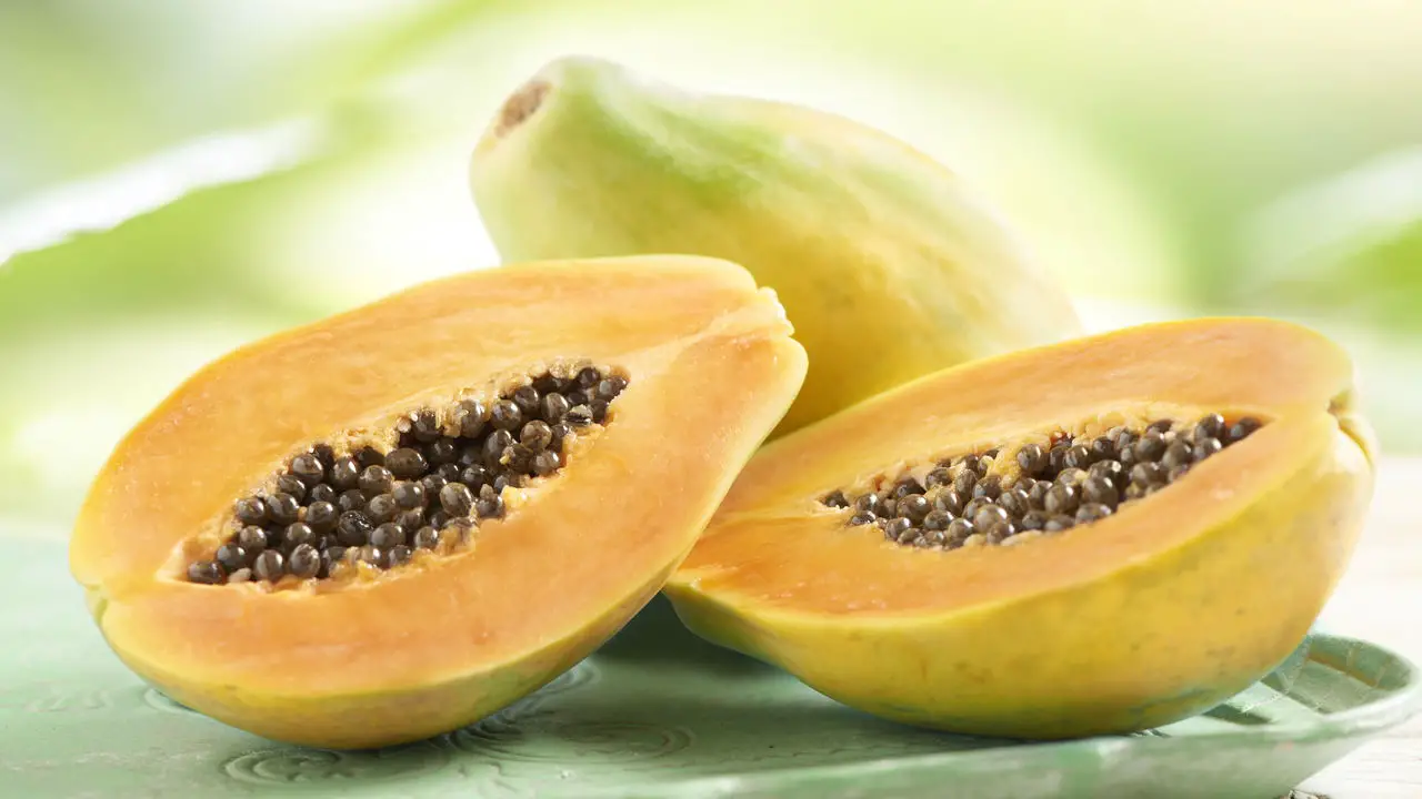 Dicas Essenciais para Plantar Mamão em Casa e Ter Frutas Sempre