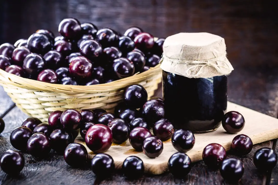 Geleia de Jabuticaba Sabor de Infância e Memórias no Pote